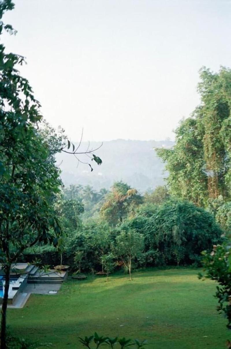 The Postcard Velha image