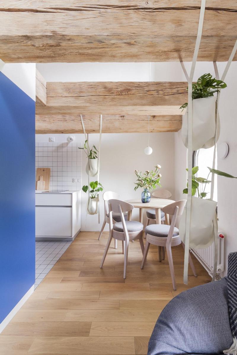 Apartamenty Monka image