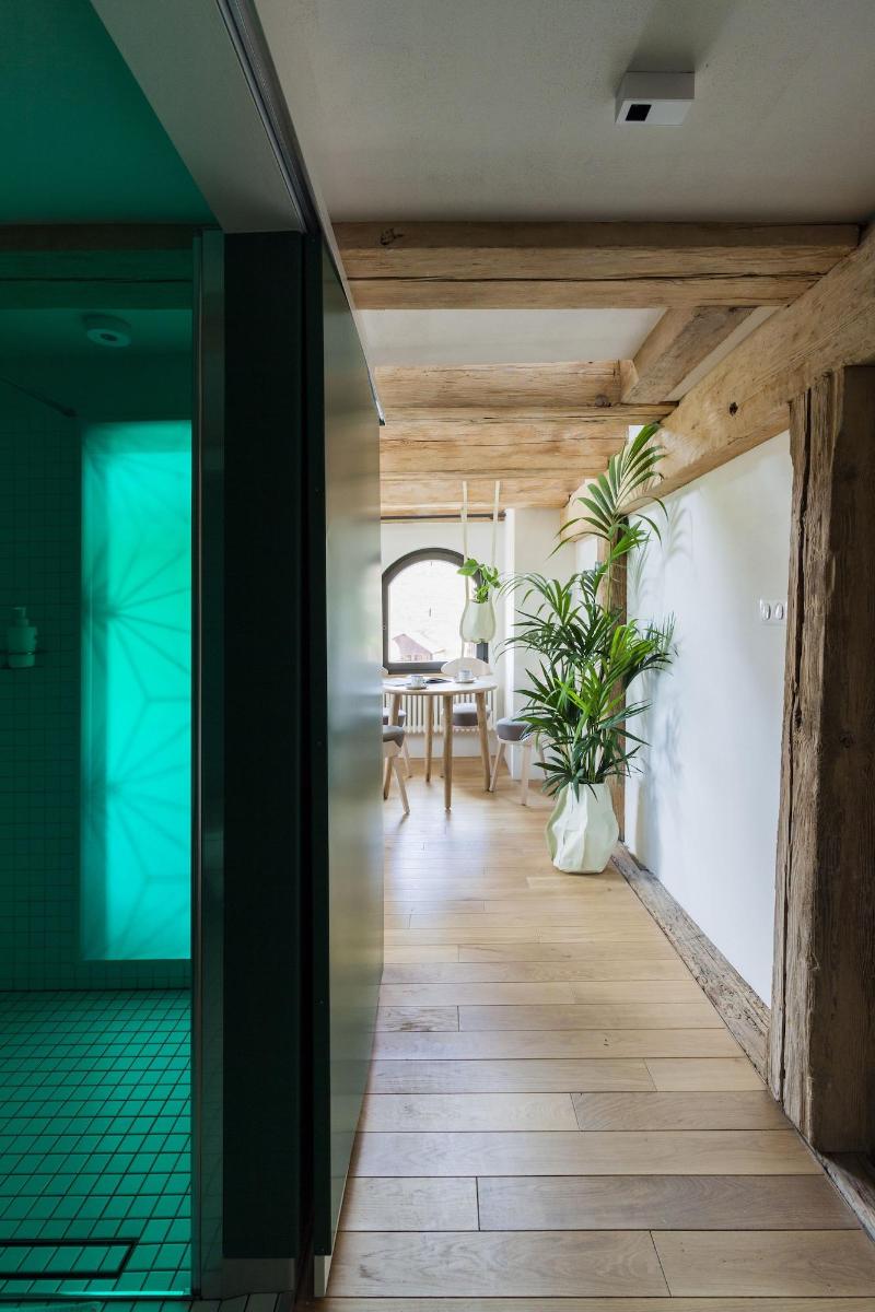 Apartamenty Monka image