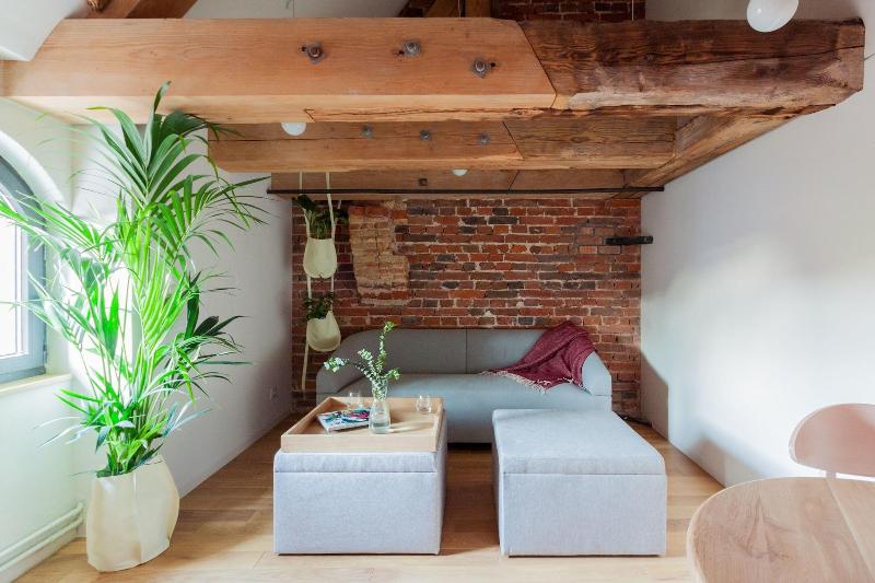 Apartamenty Monka image