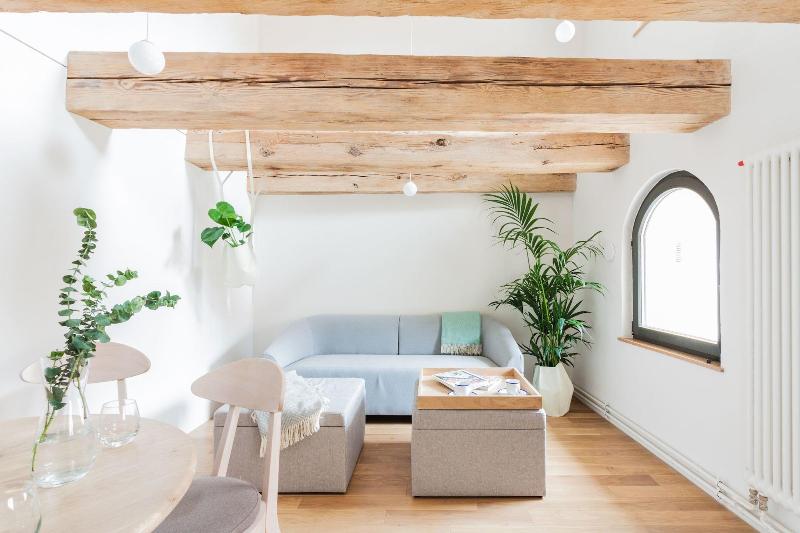 Apartamenty Monka image