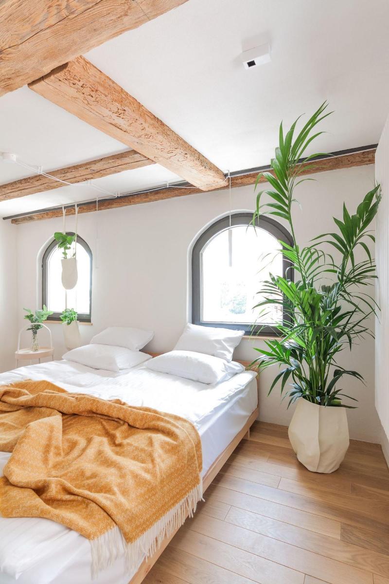 Apartamenty Monka image