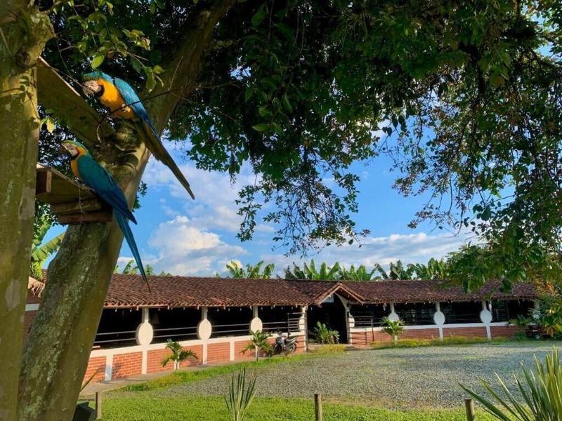Ecoparadise image