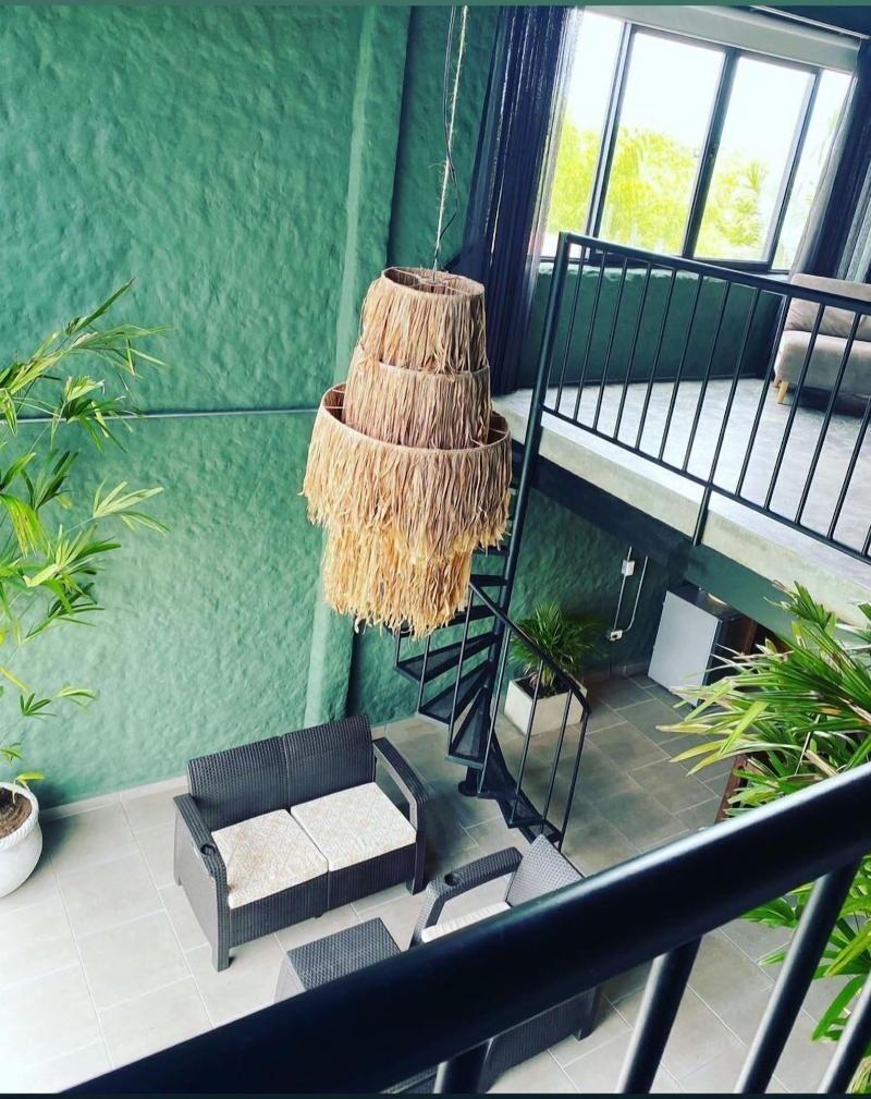 Ecoparadise image