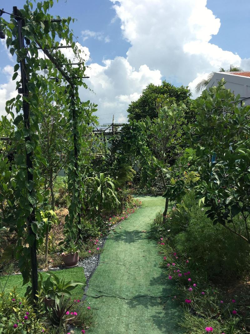 Thu Huynh Homestay Hostel