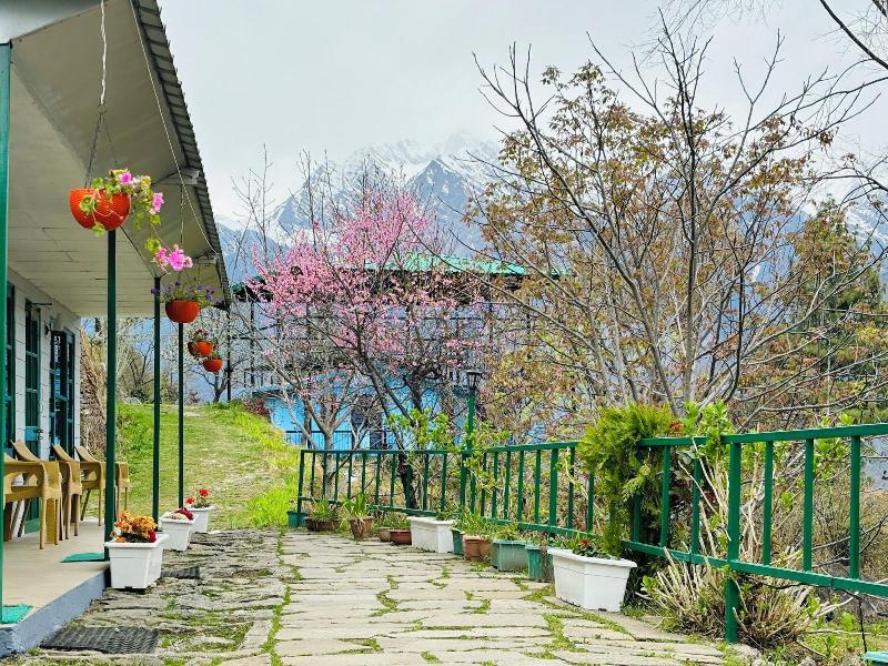 Himalayan High, Auli, By Himalayan Eco Lodges