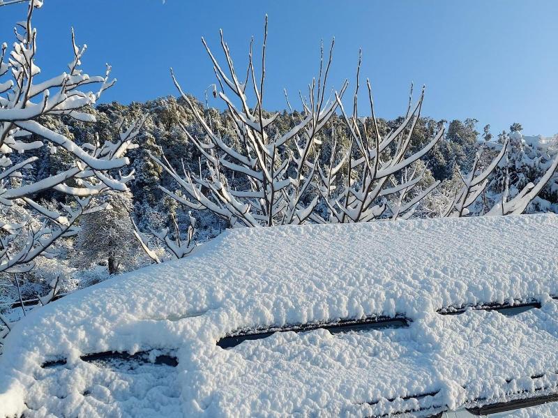 Himalayan High, Auli, By Himalayan Eco Lodges
