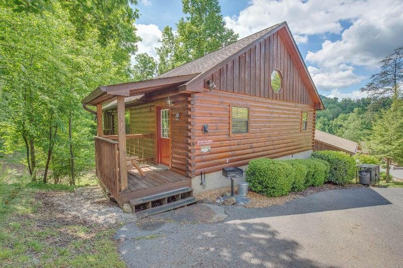 Bear Escape image