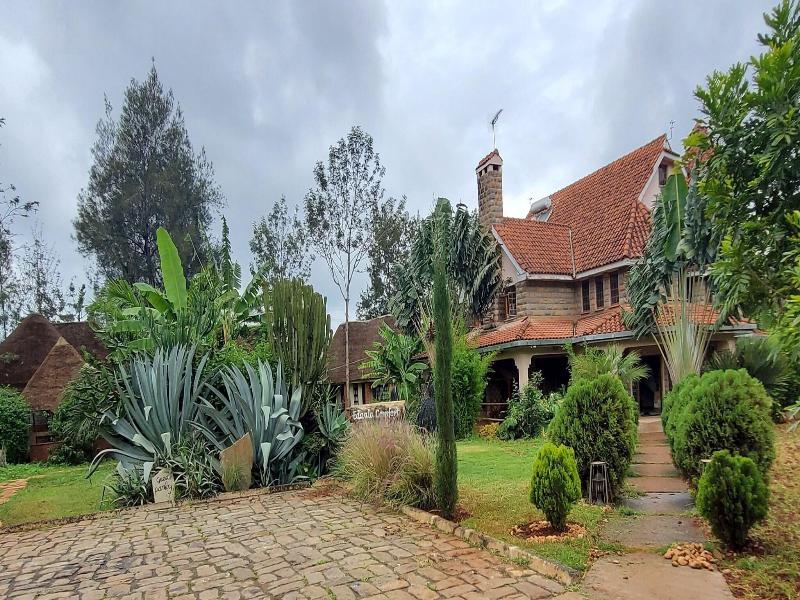 Edaala Comfort image