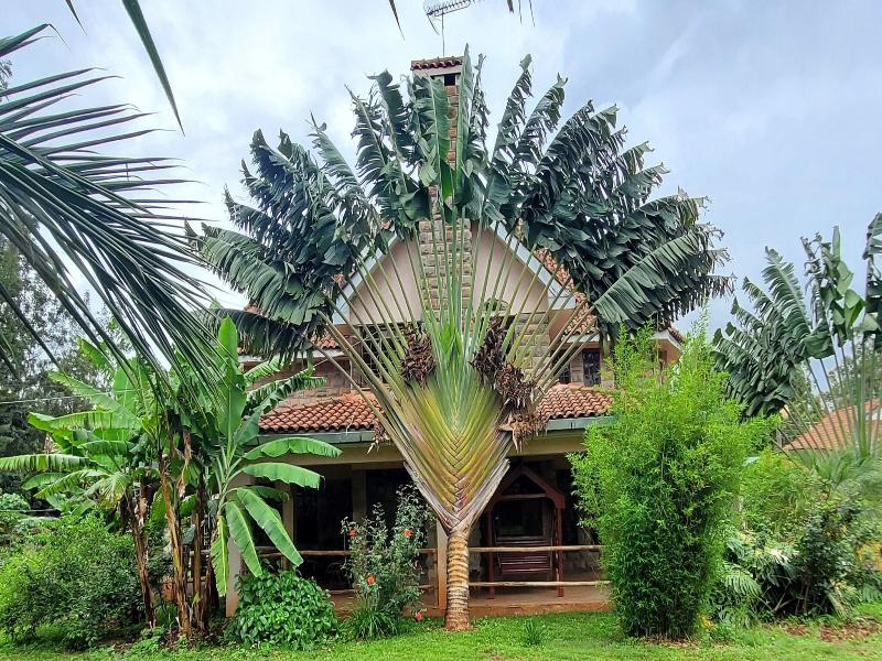 Edaala Comfort image
