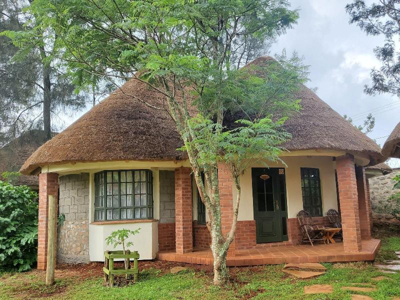 Edaala Comfort image