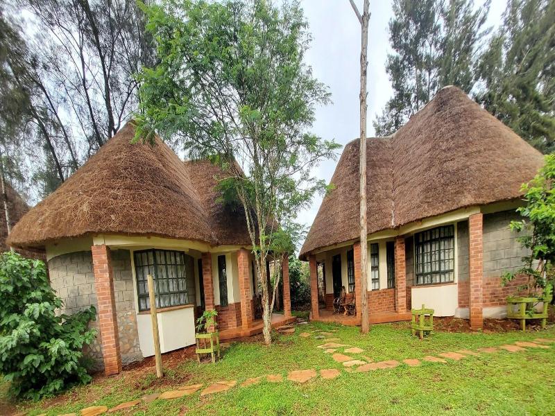 Edaala Comfort image