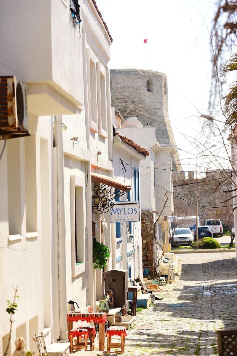 Mylos Otel image
