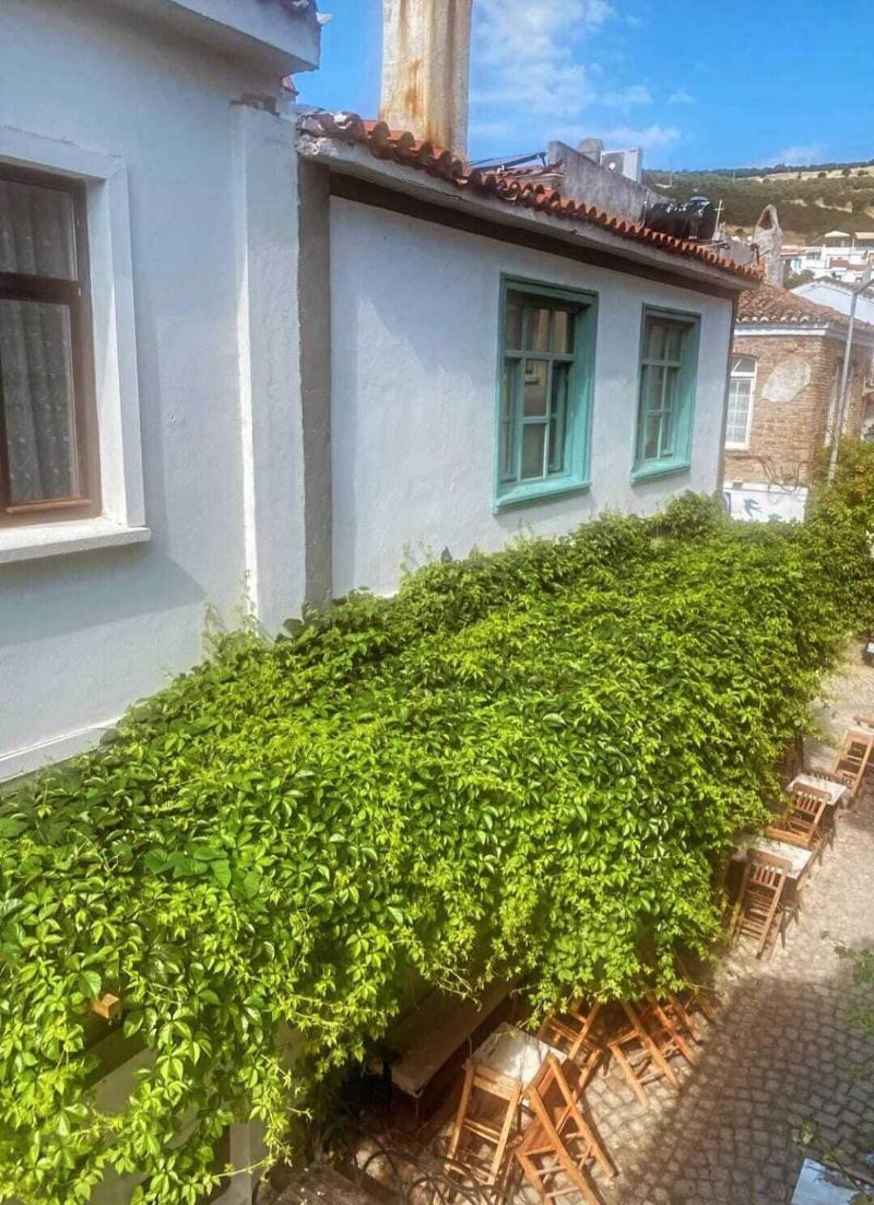 Mylos Otel image
