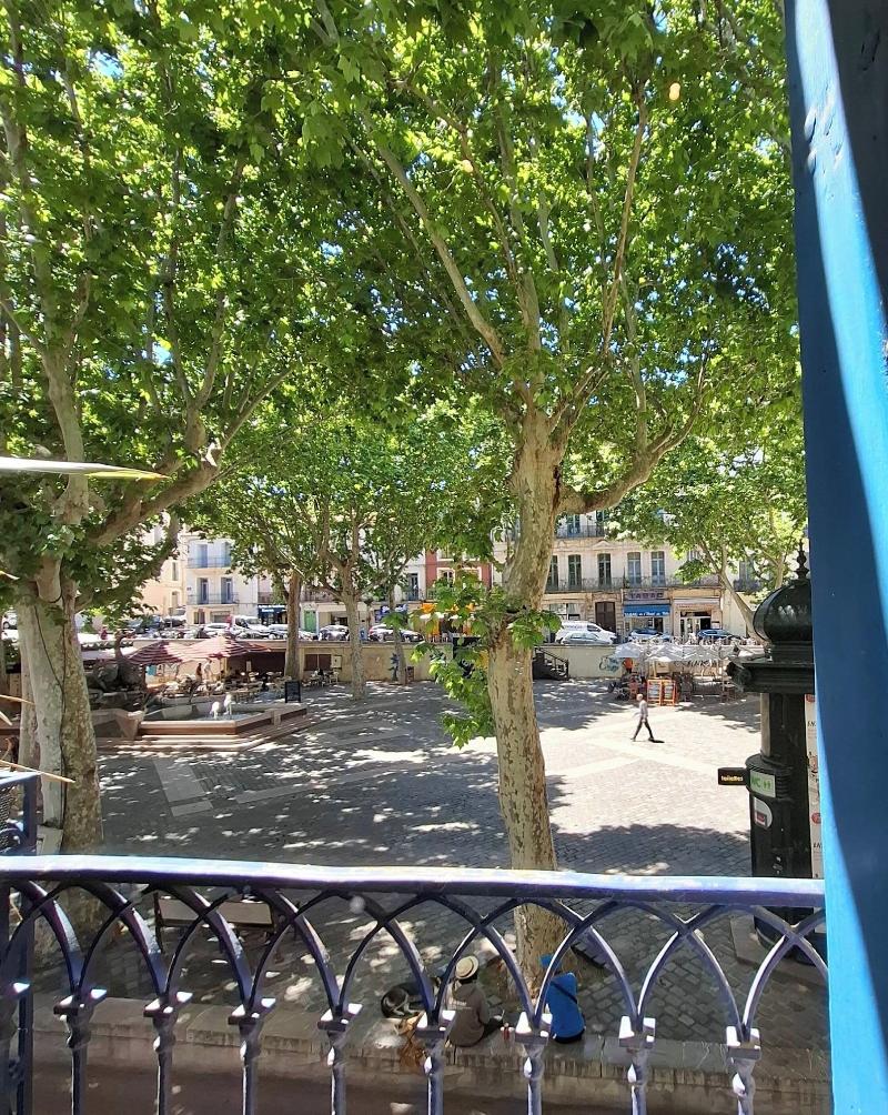 La Maison Verte Sete image