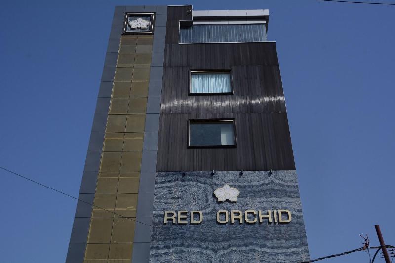 Red Orchid