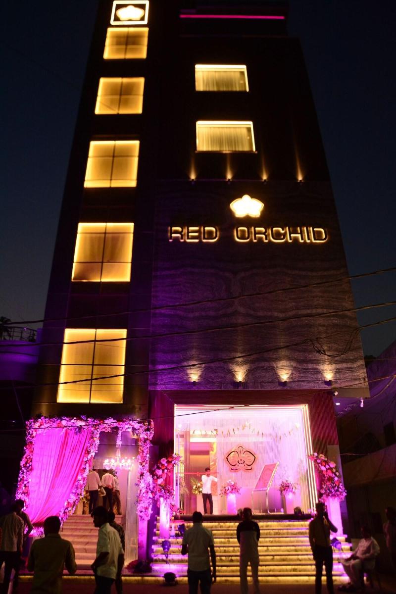 Red Orchid