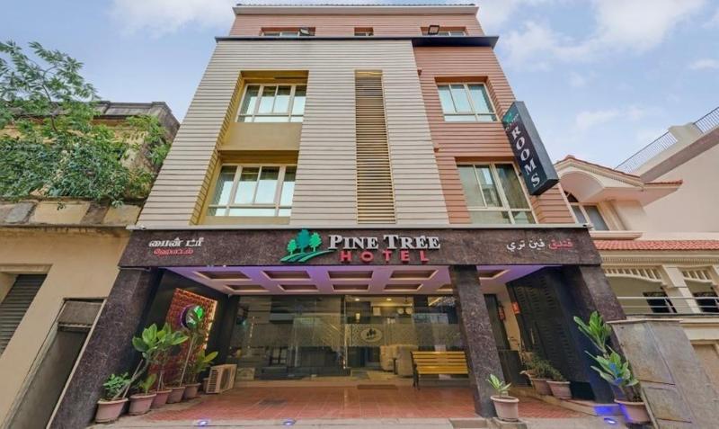 Hotel Pine Tree image
