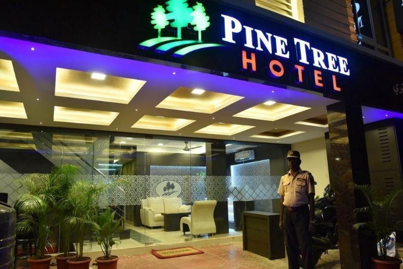Hotel Pine Tree image