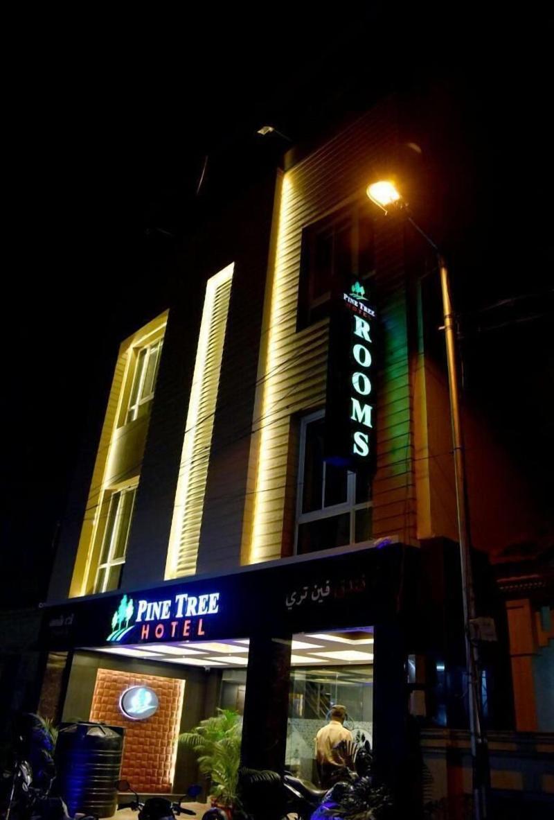 Hotel Pine Tree image