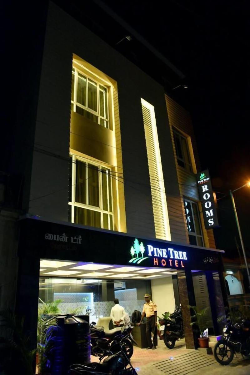 Hotel Pine Tree image