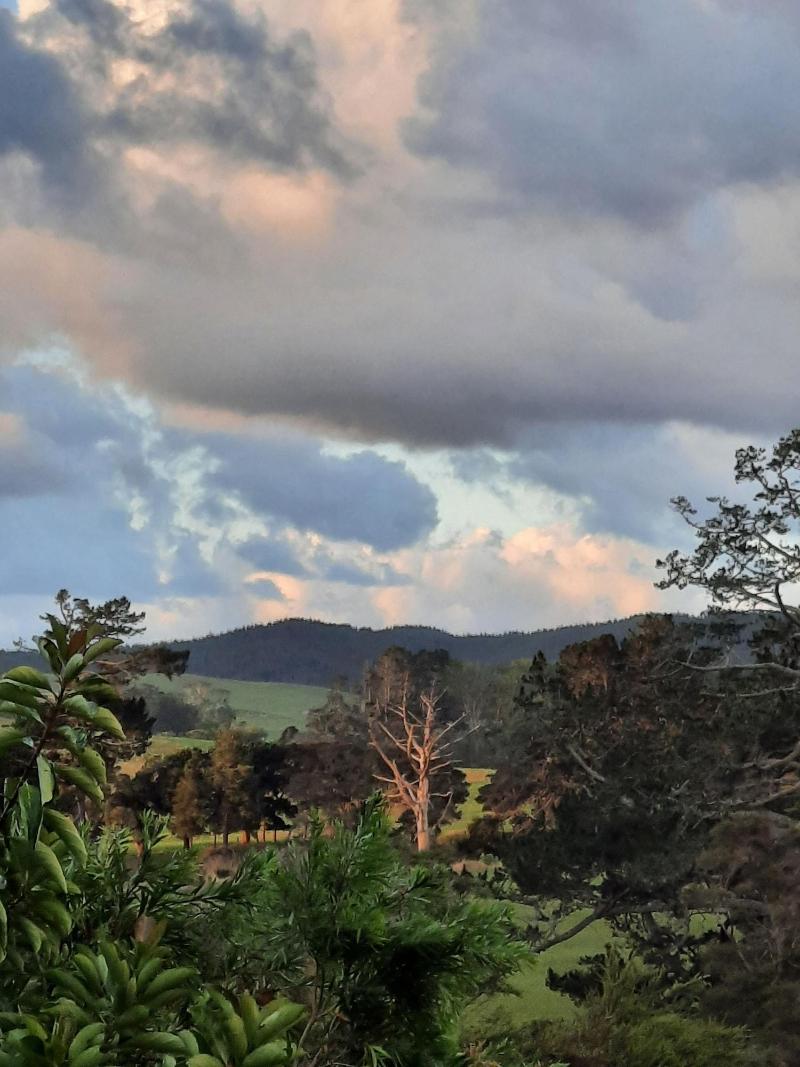 Riverside Homestead Waitangi image