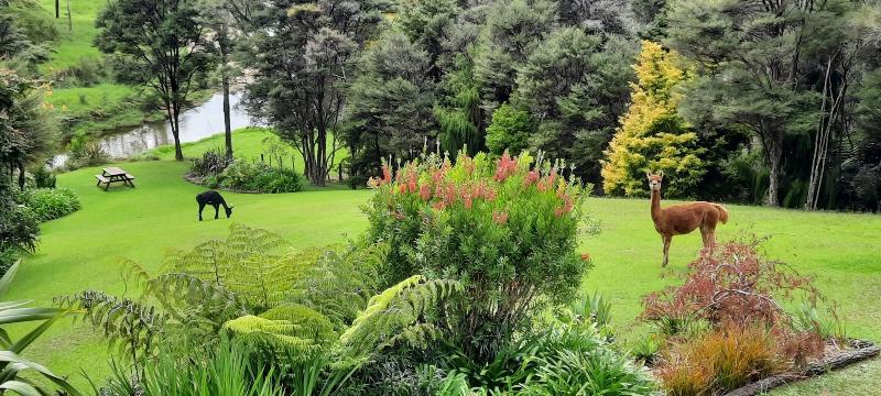 Riverside Homestead Waitangi image