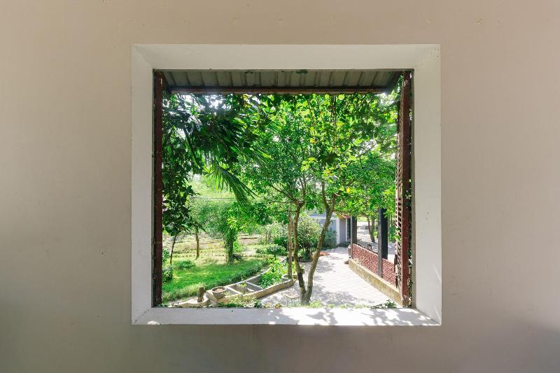 S N Home Garden Hue