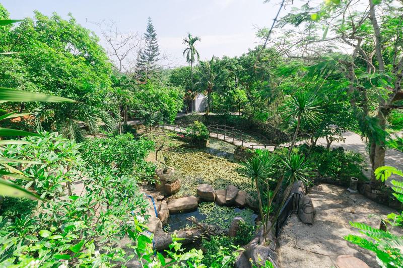S N Home Garden Hue