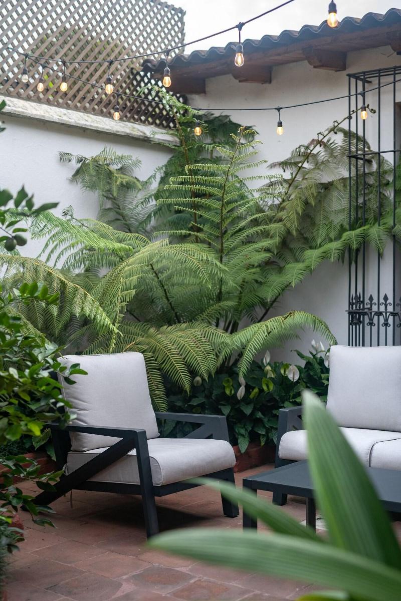 Barbaras Boutique Hostel image