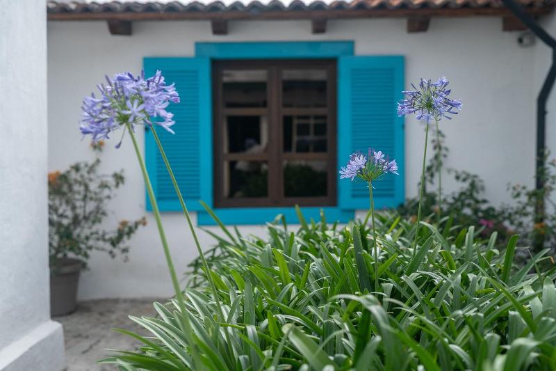 Barbaras Boutique Hostel image