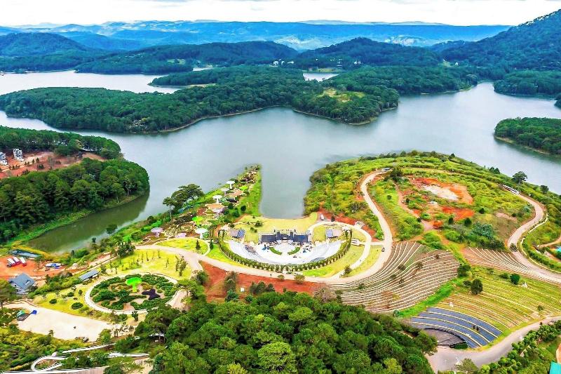 Lavender Dalat image