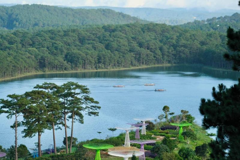 Lavender Dalat image