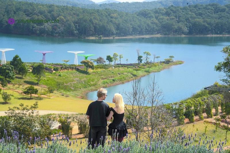 Lavender Dalat image