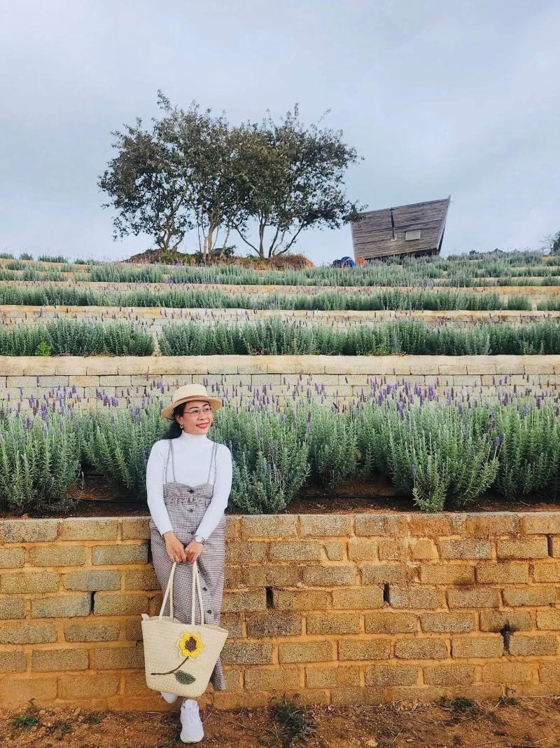 Lavender Dalat image