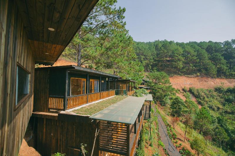 Lavender Dalat image