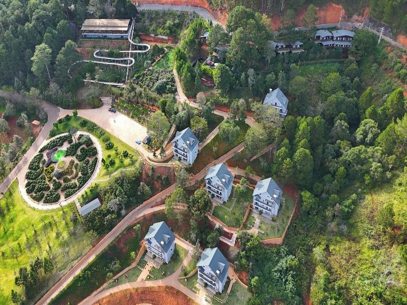 Lavender Dalat image
