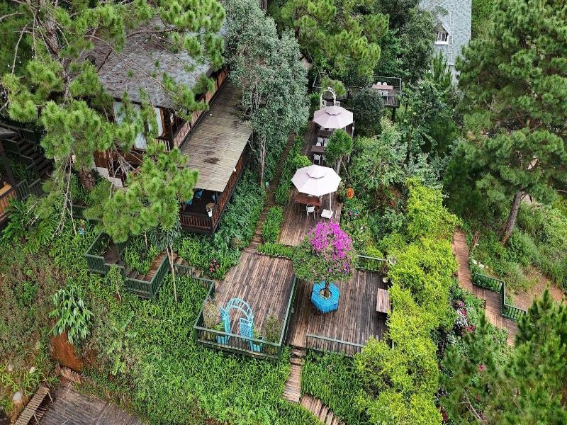 Lavender Dalat image