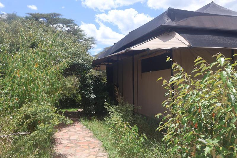 Mtito Safari Camp image
