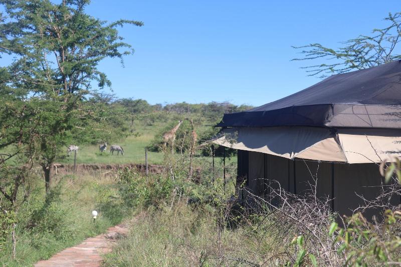 Mtito Safari Camp image