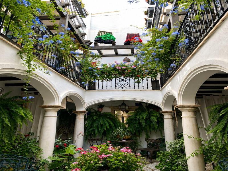 Casa Del Patio Boutique Apartments image