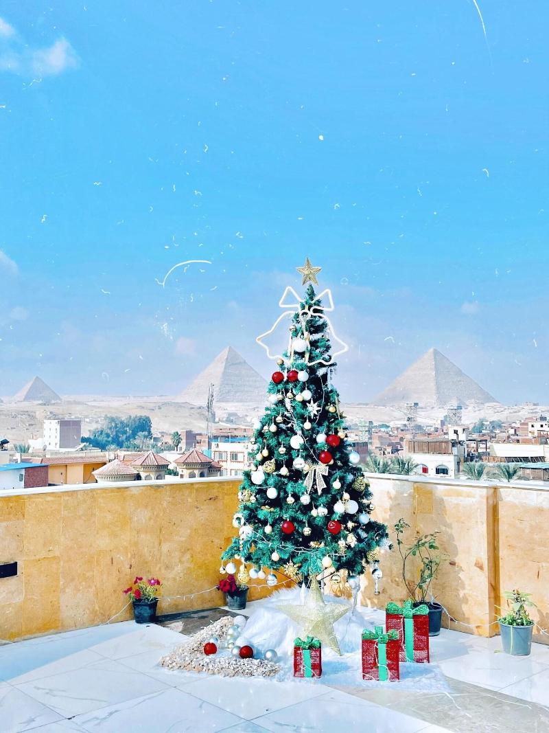 Palm Pyramids image