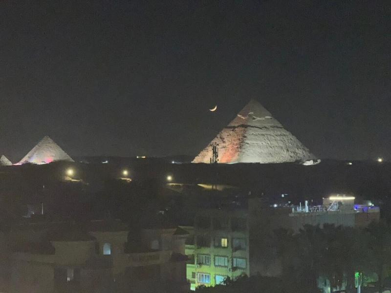 Palm Pyramids image