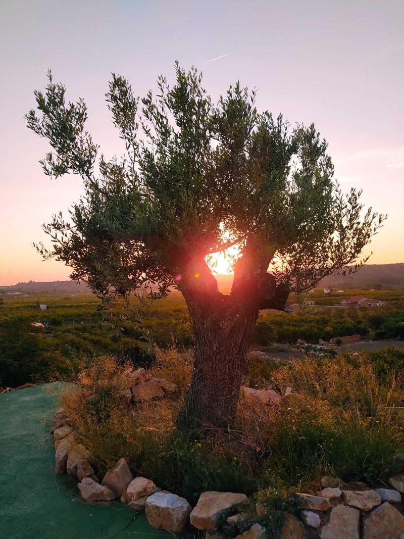 Cabezo Bua Uel image