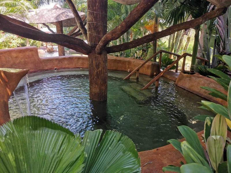 Hotel Palmera Real Hot Springs image