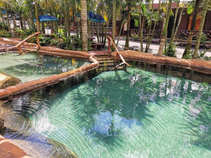 Hotel Palmera Real Hot Springs image