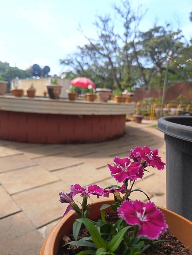 Panorama Resort Managed By Yashoda Group image