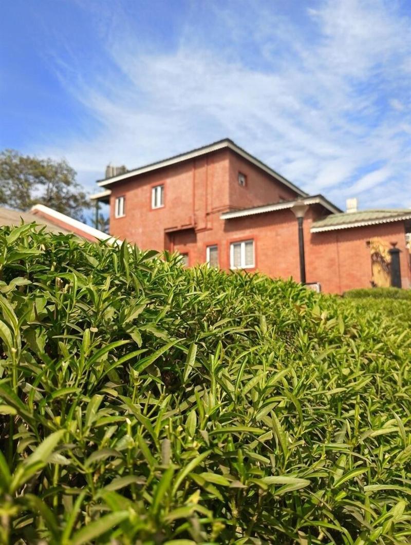 Panorama Resort Managed By Yashoda Group image
