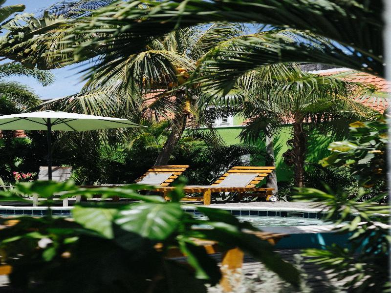 Pietermaai Oasis image