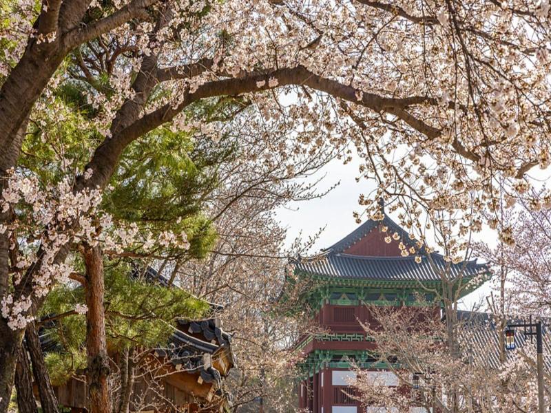 Gyeongju H Avenue Hotel Bulguksa image